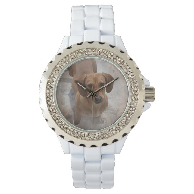 Daschund Watch (Front)