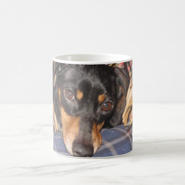 Daschund Weener Dog face Coffee Mug (Center)
