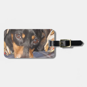 Daschund Weener Dog face Luggage Tag