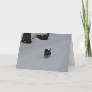 Dashing Determined Holiday Card