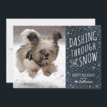 Dashing Through the Snow Holiday Pet Card<br><div class="desc">A fun,  snowy design that can show off the family pet.</div>