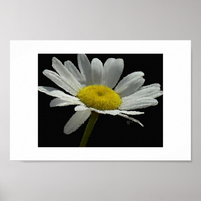 Dasiy Poster (Front)