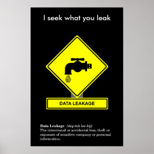 Data Leakage Security Awareness Poster