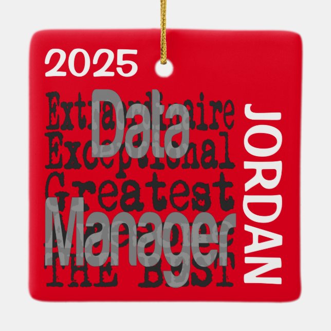 Data Manager Extraordinaire CUSTOM Ceramic Ornament (Back)