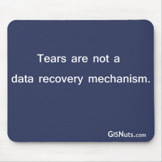 Data Recovery Mechanism Mousepad