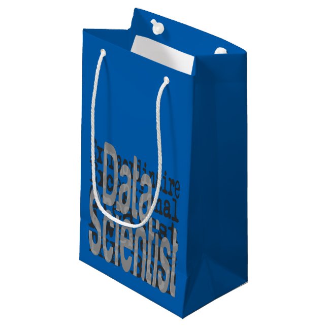 Data Scientist Extraordinaire Small Gift Bag (Front Angled)