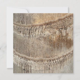 Date Palm Tree Trunk Texture Closeup Photo Image Card