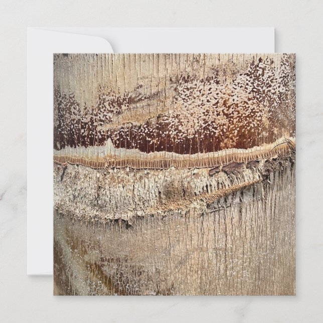 Date Palm Tree Trunk Texture Closeup Photo Image Card (Front)