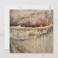 Date Palm Tree Trunk Texture Closeup Photo Image