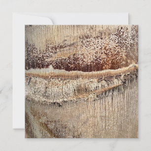 Date Palm Tree Trunk Texture Closeup Photo Image Card