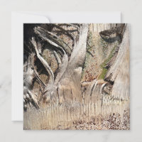 Date Palm Tree Trunk Texture Closeup Photo Image