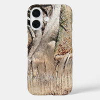 Date Palm Tree Trunk Texture Closeup Photo Image