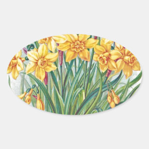 date rsvp flowers daffodil yellow vintage oval sticker