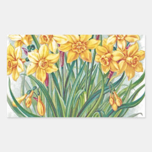 date rsvp flowers daffodil yellow vintage rectangular sticker