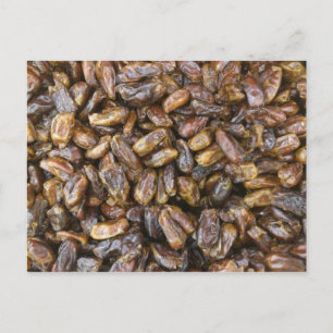 Dates Postcard