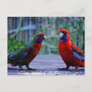 Dating Time Postcard