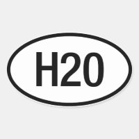 Datsun Nissan H20 Engine Sticker