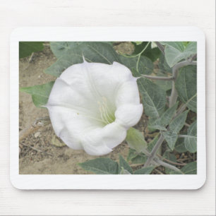 Datura Mouse Pad