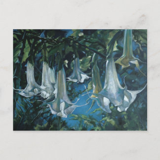 Datura Postcard