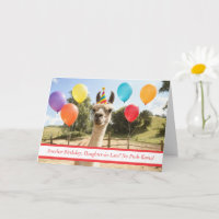 Daughter in Law Cute and Funny Llama
