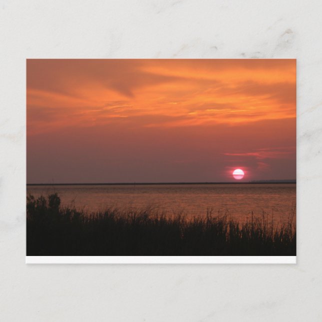 Dauphin Island, AL Sunset Postcard (Front)