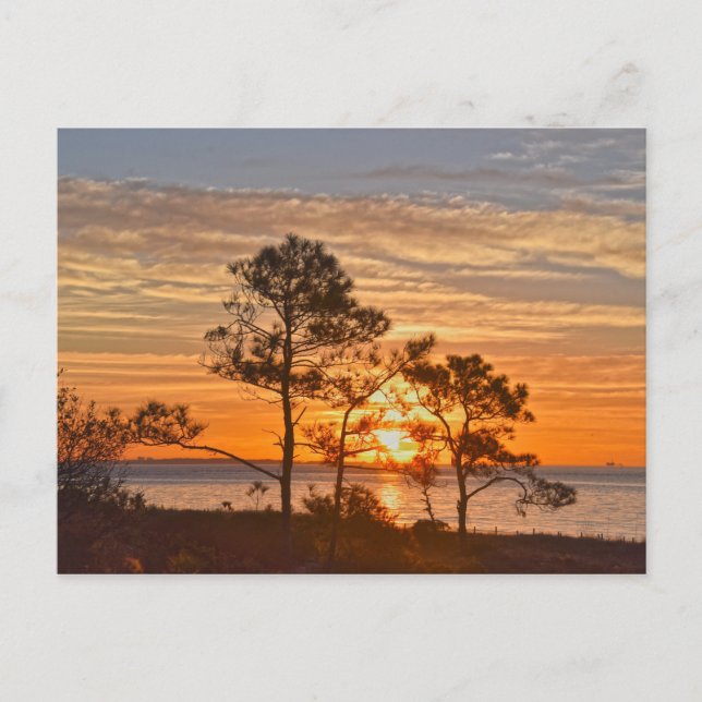 Dauphin Island Refuge Sunrise, Alabama Postcard (Front)