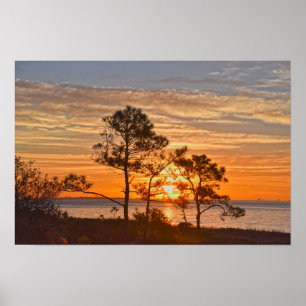 Dauphin Island Refuge Sunrise, Alabama Poster