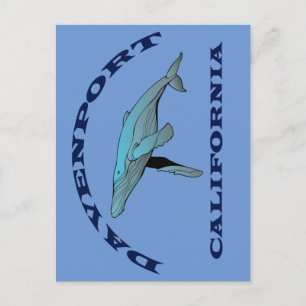 Davenport California Whale Postcard