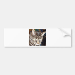 Dave's Watching You Bumper Sticker