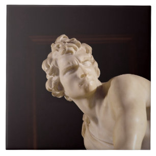 David, 1623-24 (marble) (detail) tile