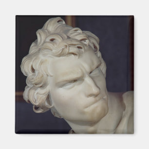 David, detail of the head, 1623-23 magnet