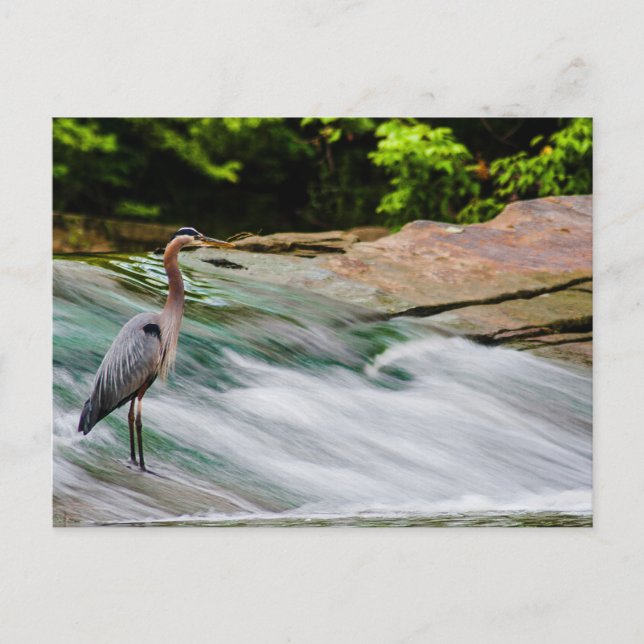David Fortier River Park, Olmsted Falls, Ohio Postcard (Front)