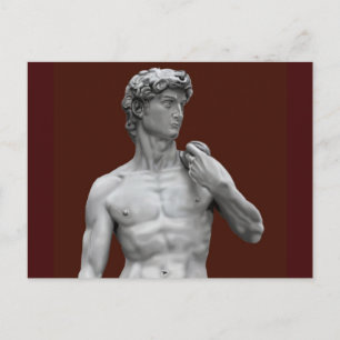 David Illustrated Postcard