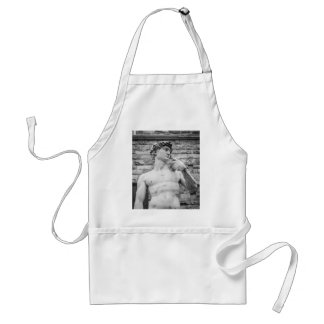 David (Michelangelo) Standard Apron