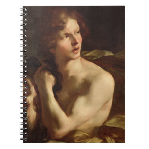 David Notebook