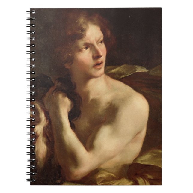 David Notebook (Front)