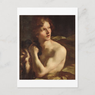 David Postcard