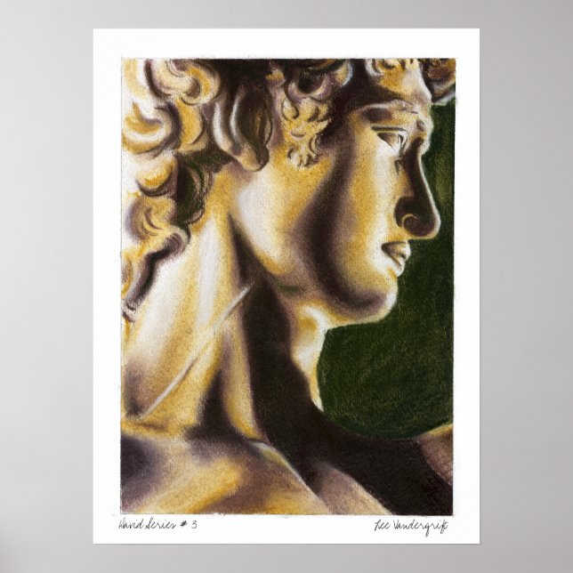 David series 3 by Lee Vandergrift Poster (Front)