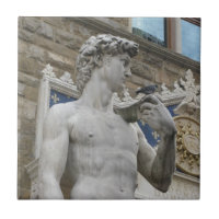 David Statue Michelangelo in Italy