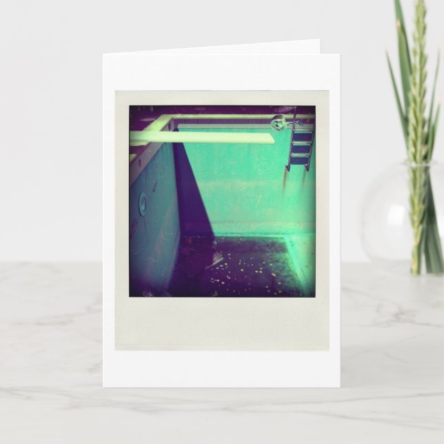 David's Pool 09g05 variation2 3d Computer Art card (Front)