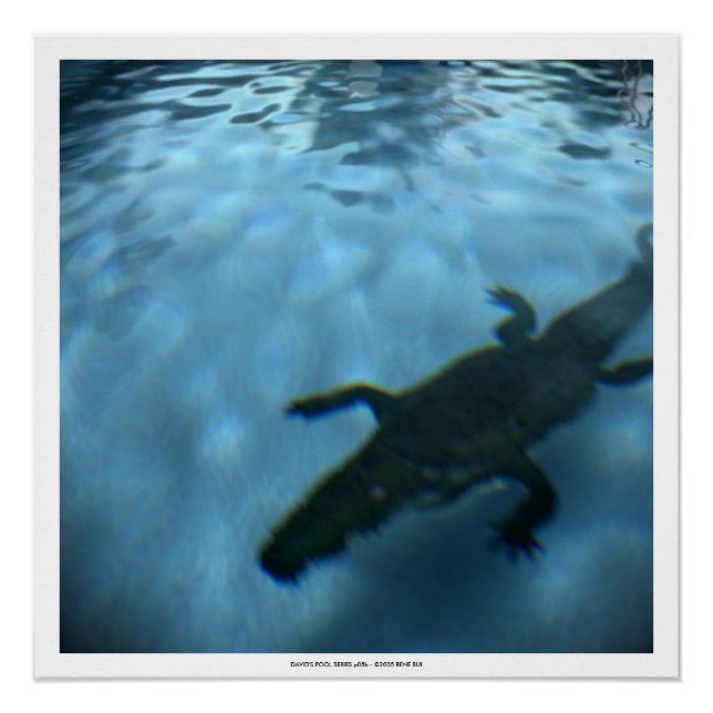 DAVID'S POOL SERIES p05b- 3D Computer ART Poster (Front)