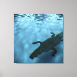 DAVID'S POOL SERIES p05b Canvas Print