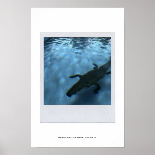 DAVID'S POOL SERIES p05b Poster (Front)