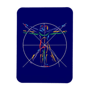 DaVinci Anatomy Man in Chakra Colours Magnet