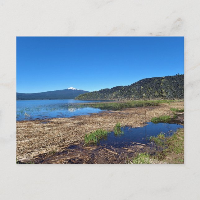 Davis Lake, OR Postcard (Front)