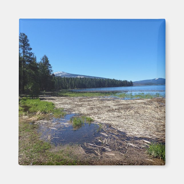 Davis Lake, Oregon Magnet (Front)