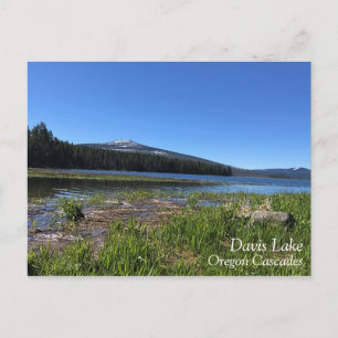 Davis Lake, Oregon Postcard