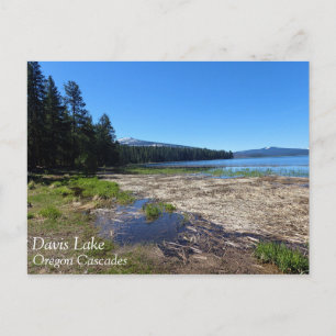 Davis Lake, Oregon Postcard
