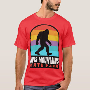 Davis Mountains State Park Texas T-Shirt