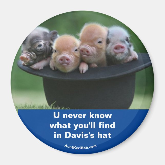 Davis's hat magnet (Front)